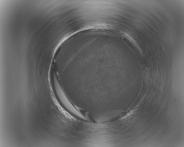 X0000056330944200509232009