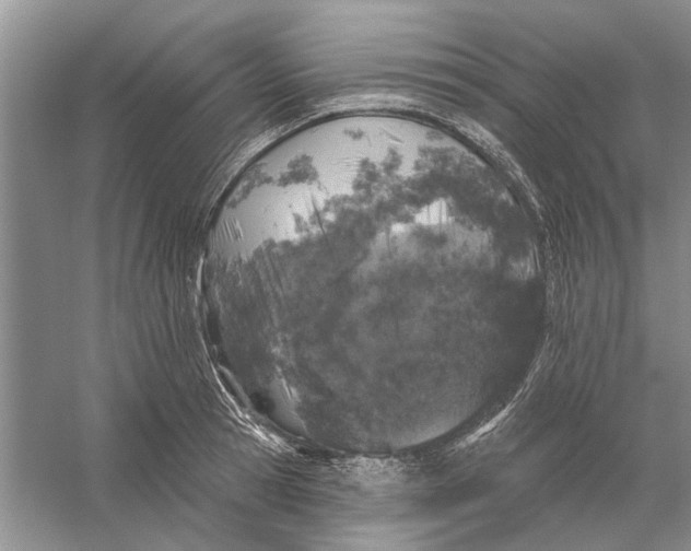 X0000056330945200509232009