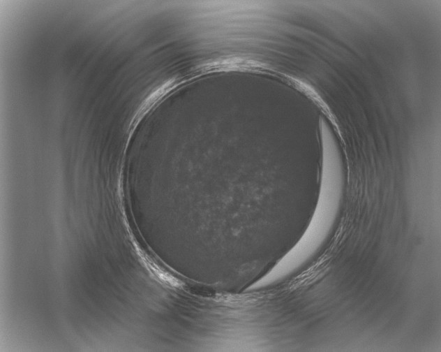 X0000056330946200509232009