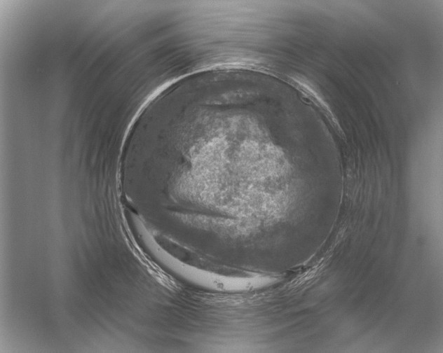 X0000056330948200509232009