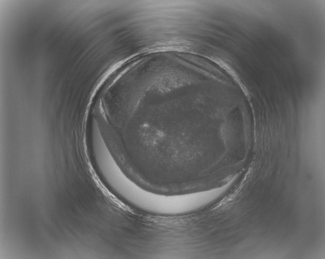 X0000056330949200509232009