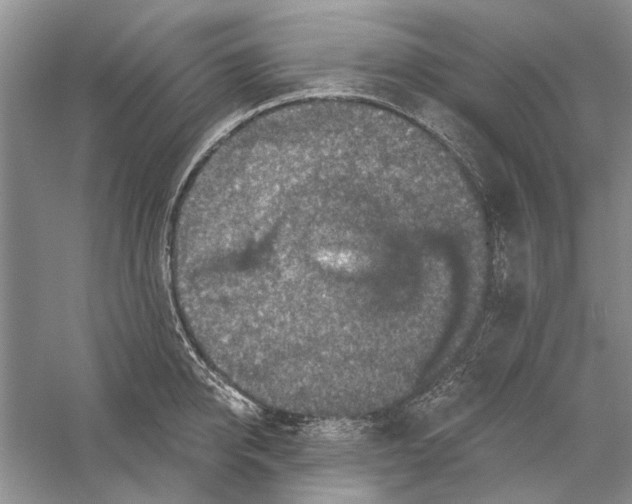 X0000056330950200509232009