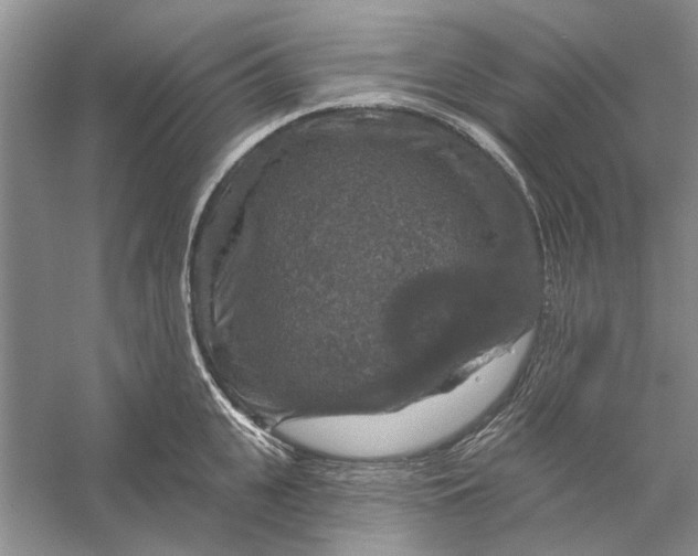 X0000056330951200509232009