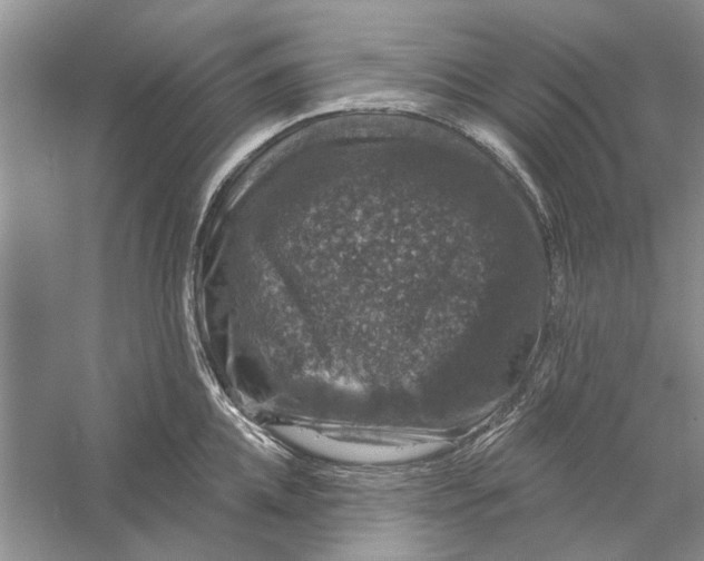 X0000056330952200509232009