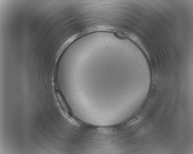 X0000056330954200509232009