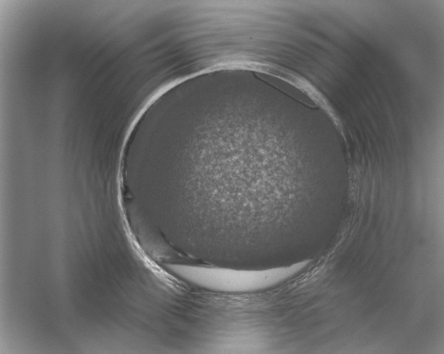 X0000056330955200509232009