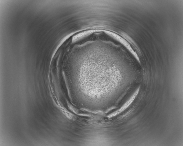 X0000056330956200509232009