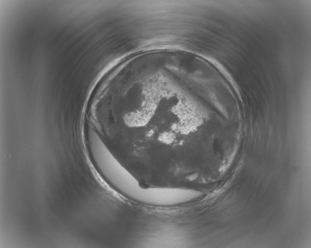 X0000056330957200509232009