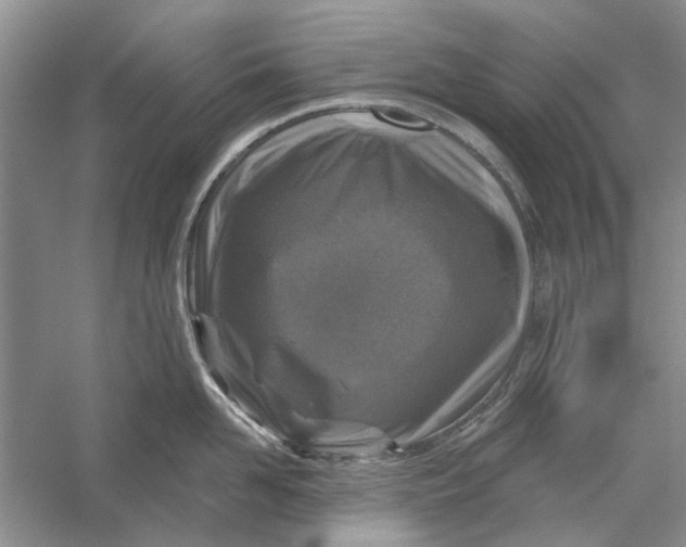 X0000056330958200509232009