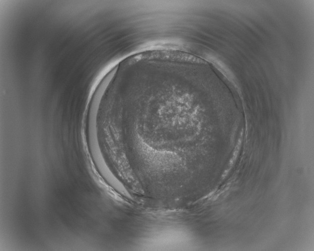 X0000056330960200509232009