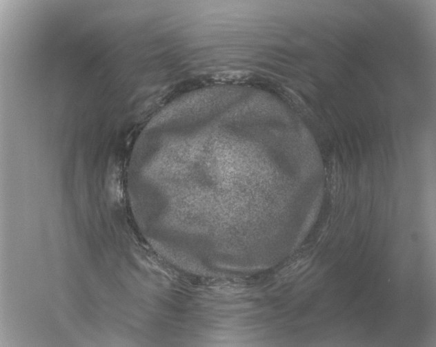 X0000056330962200509232008