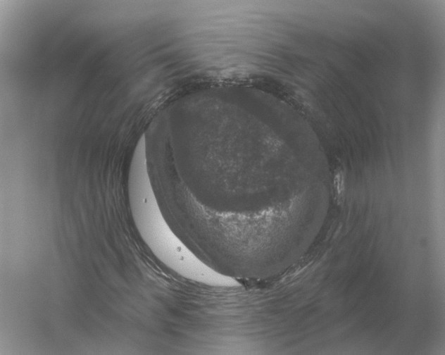 X0000056330963200509232008