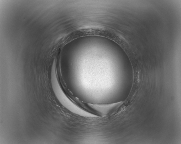 X0000056330965200509232008