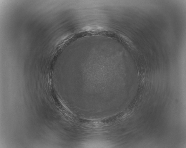 X0000056330966200509232008