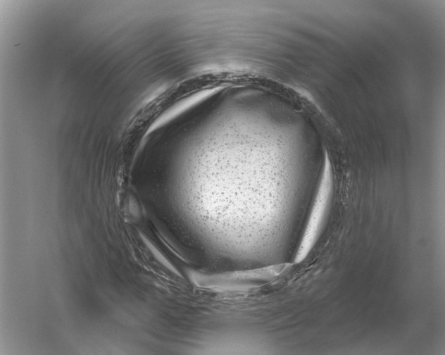 X0000056330967200509232008