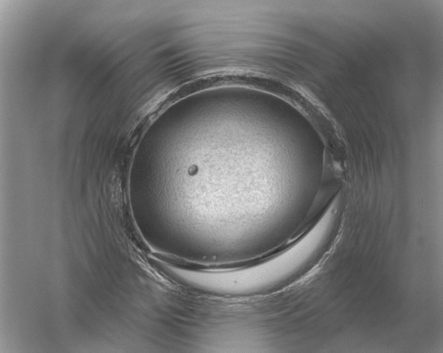 X0000056330969200509232008