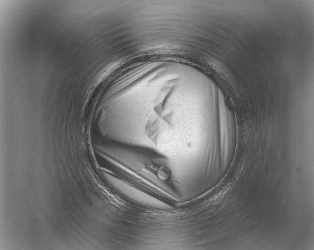 X0000056330970200509232008