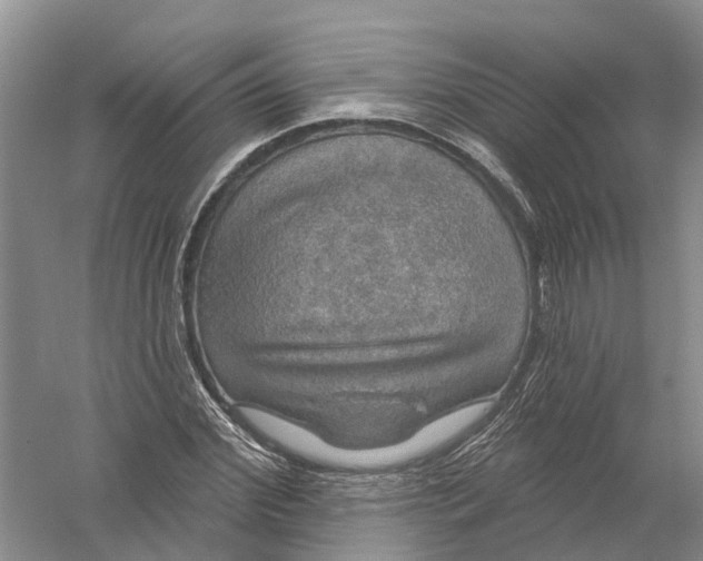 X0000056330972200509232008