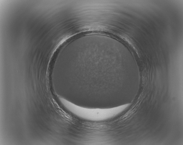 X0000056330975200509232008