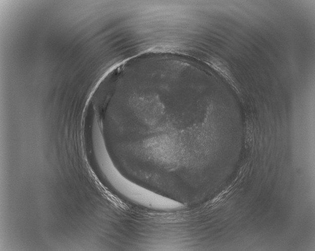 X0000056330976200509232008