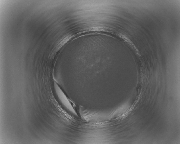 X0000056330977200509232008