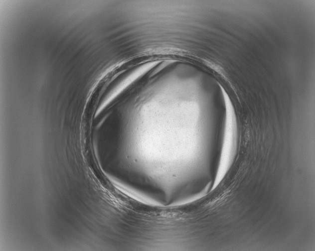 X0000056330979200509232008