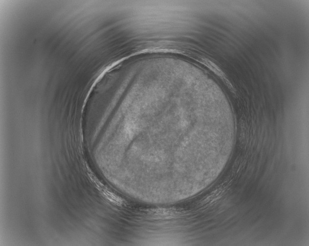 X0000056330980200509232008