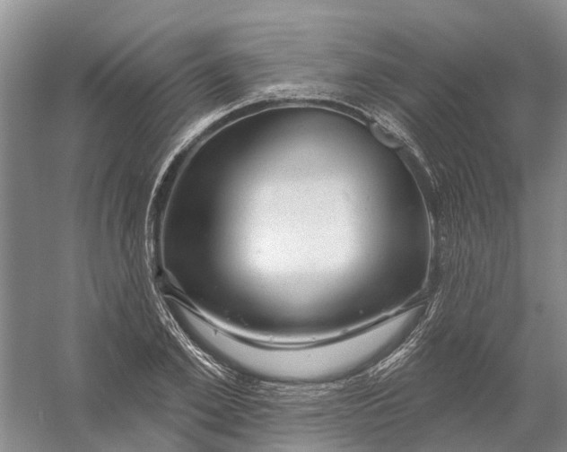 X0000056330981200509232008