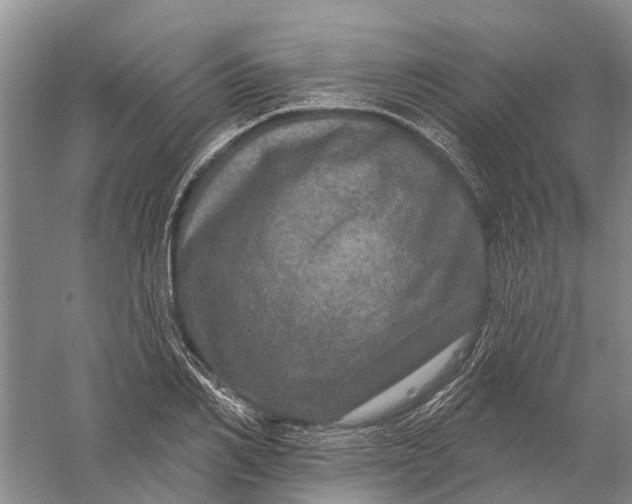 X0000056330982200509232008