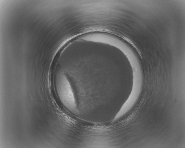 X0000056330983200509232008