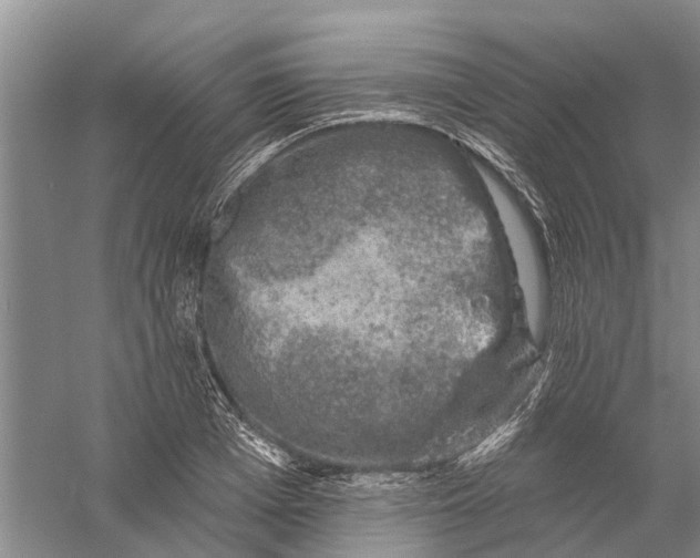 X0000056330985200509232008