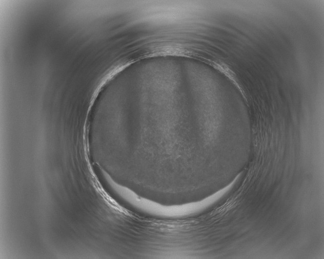 X0000056330987200509232008