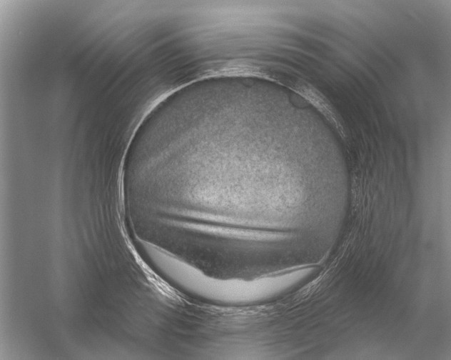 X0000056330988200509232008