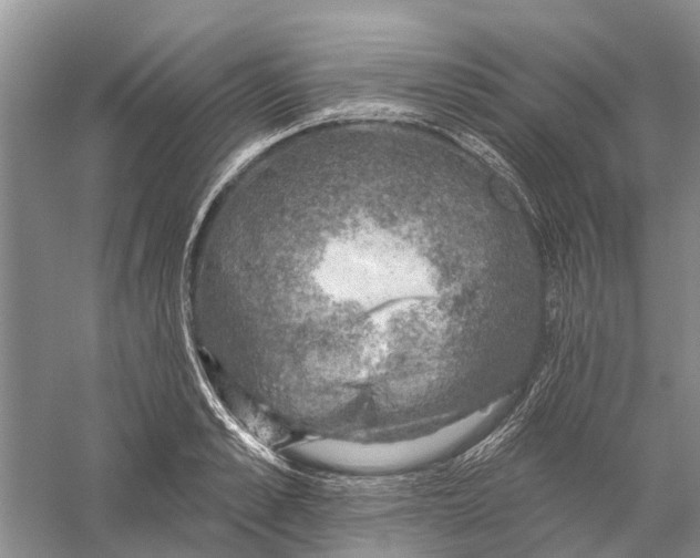 X0000056330989200509232008