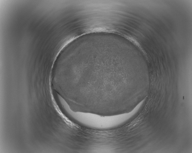 X0000056330991200509232008