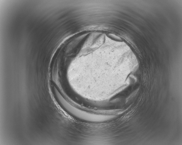 X0000056330992200509232008