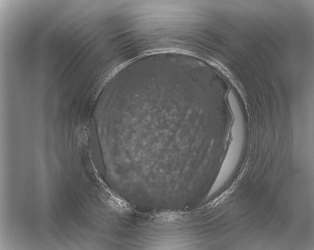 X0000056330993200509232008