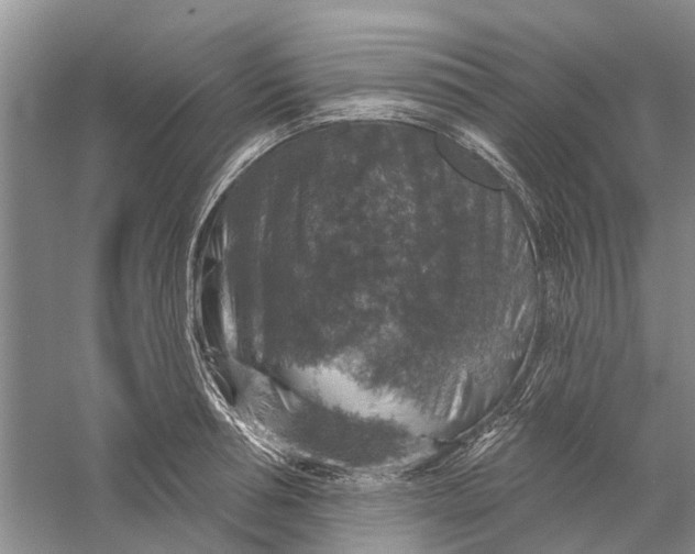 X0000056330994200509232008