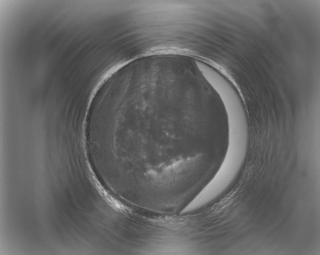 X0000056330995200509232008