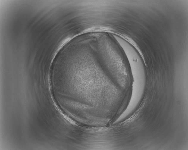 X0000056330997200509232008