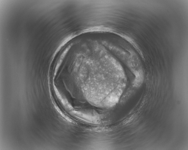 X0000056330998200509232008