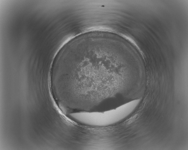 X0000056330999200509232008