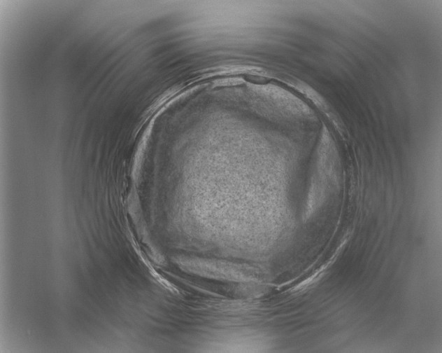 X0000056331001200509232008