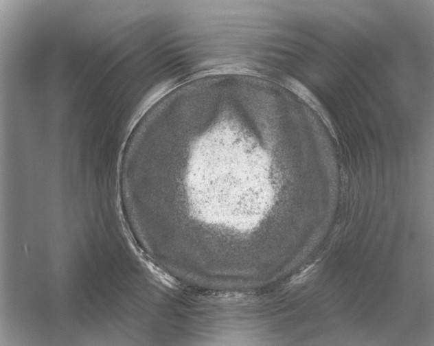 X0000056331002200509232008