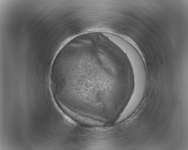 X0000056331005200509232008