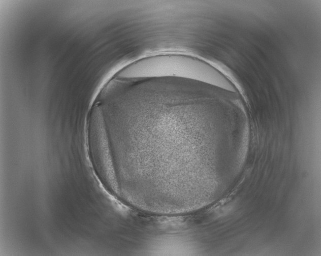 X0000056331006200509232008