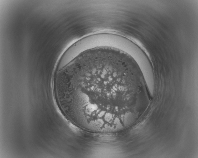 X0000056331007200509232008