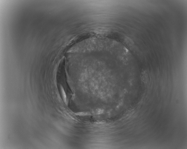 X0000056331009200509232007