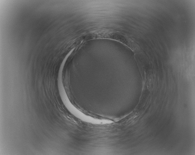 X0000056331010200509232007