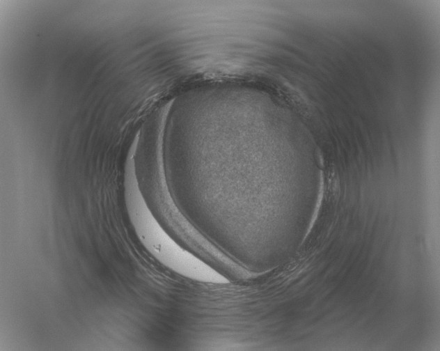 X0000056331012200509232007